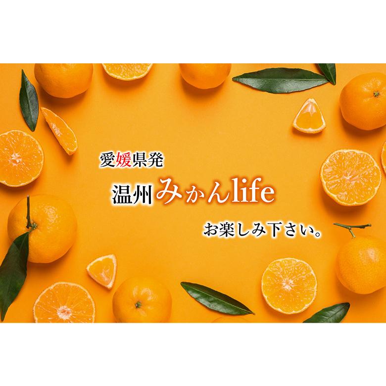【みかん】 000000002350_DP7xqJk.jpg
