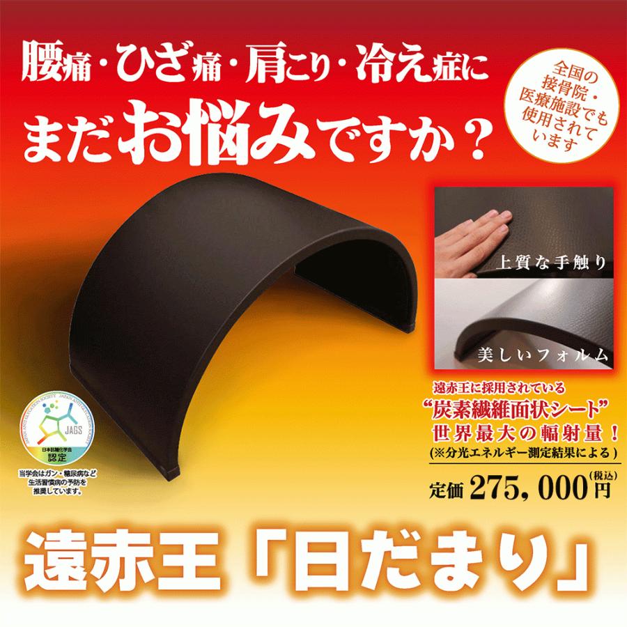 遠赤外線 ヒーター 遠赤外線ヒーター 健康器具 暖房器具 治療器 家庭用 遠赤外線ボディーヒーター 日だまり｜ensekiou