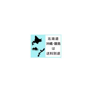 電線防護管45Φ×3000mm 二層押し出し成形により、絶縁力が強く、防護管の連結は容易に【7000V以下用】法人様限定｜ensin｜04