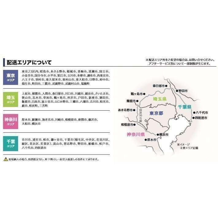 二槽シンクW900×D450×H800+100mm【東京圏限定】A2C-900業務用の画像