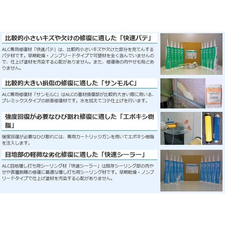 上質で快適 快速シーラー10本 3ml 本 既存シーリング部の肉やせや表層剥離の修復に最適なalc目地増し打ち用シーリング材 ブランドショッパー付き Nepalbreweries Com