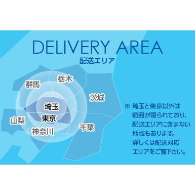 薄型流し台W900×D460×H800mm 壁出し水栓仕様【東京圏限定】CYII-90