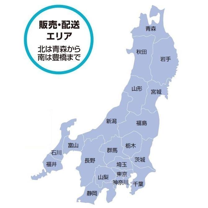 流し台W90×D55×H85cm 引き出し3段【エリア内会社入れ限定】トップ出し水栓仕様KTD5-85-90DSX プレミアムカラー_7