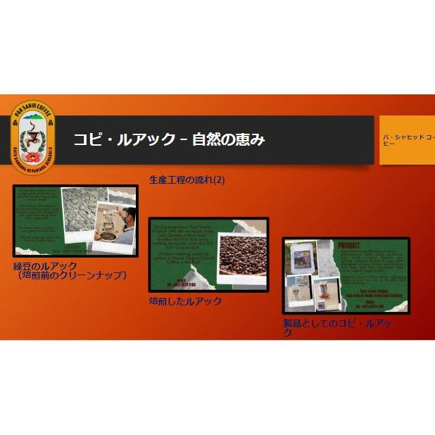 コピ・ルアック Kopi Luwak お試しサイズ コーヒー 豆 (20g) HALAL