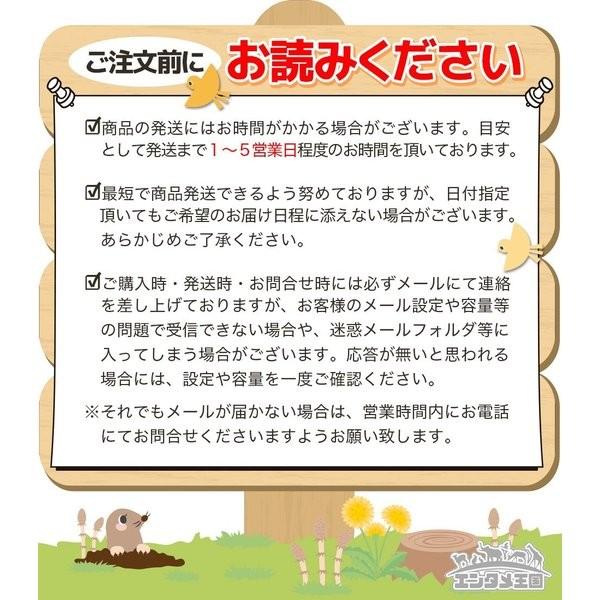 Wii リモコンプラス 純正 周辺機器 コントローラー 選べる6色 中古｜entameoukoku｜09