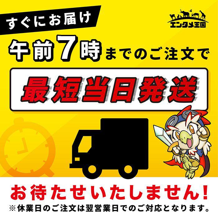 ドリキャス DC ドリームキャスト 本体のみ 本体単品 SEGA セガ 中古｜entameoukoku｜02