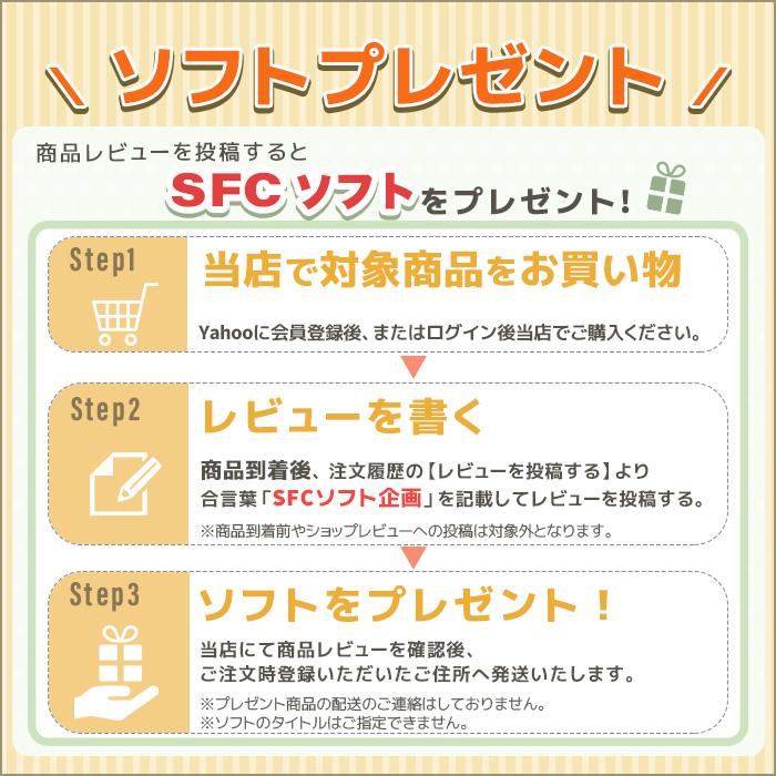 任天堂 スーパーファミコン 本体 すぐ遊べるセット HDMIケーブル 任天堂 スーパーファミコン 本体 すぐ遊べるセット HDMIケーブル