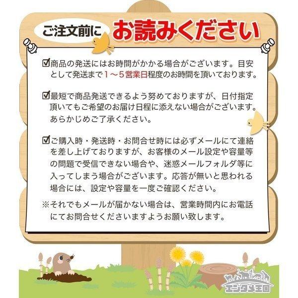 任天堂（Nintendo） Switch Nintendo 有機ELモデル Joy-Con (L) / (R
