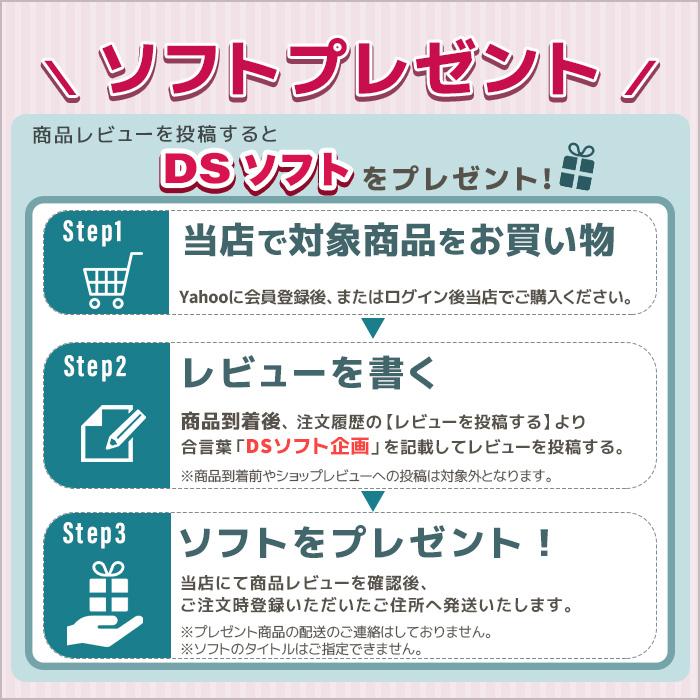 任天堂（Nintendo） DSi ニンテンドーDSi 本体 タッチペン付 選べる6色