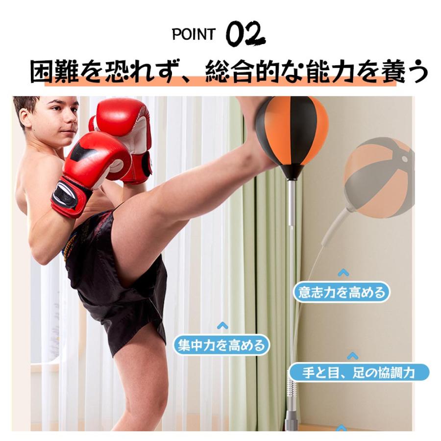 パンチング ボクシング エアー ボクササイズ エクササイズ 叩く 蹴る