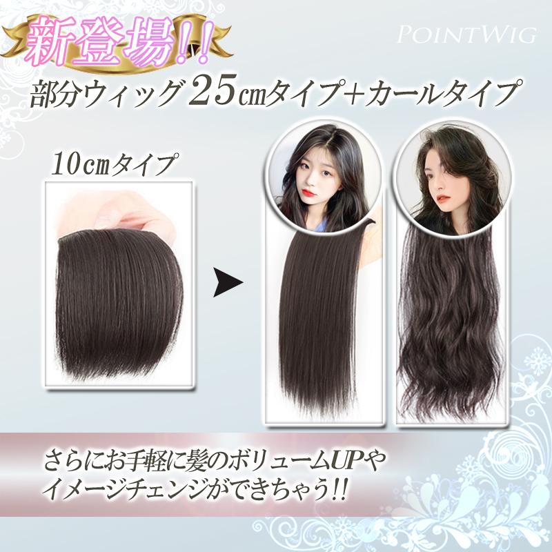 ウィッグ 部分ウィッグ ポイントウィッグ エクステ ヘアピース  つけ毛 かつら ウィッグ自然 ナチュラル | ブランド登録なし | 02