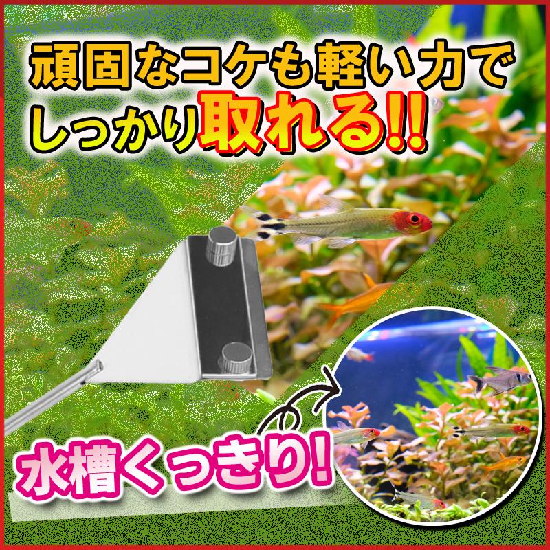 うのにもお得な情報満載 コケ取り スクレーパー プロレイザー アクアリウム 水槽 替刃11枚セット クリーナー 45cm 苔 藻