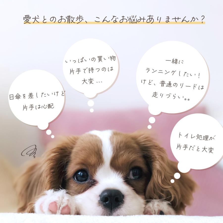 リード 犬 ハンズフリー リードハンズフリー 腰に巻ける 腰ベルト付き 持ち手付き 犬用 ワンちゃん 中型犬 大型犬 反射 おしゃれ 小型犬 ペット ハーネス 平型 Lead Handsfree Enter Key 通販 Yahoo ショッピング