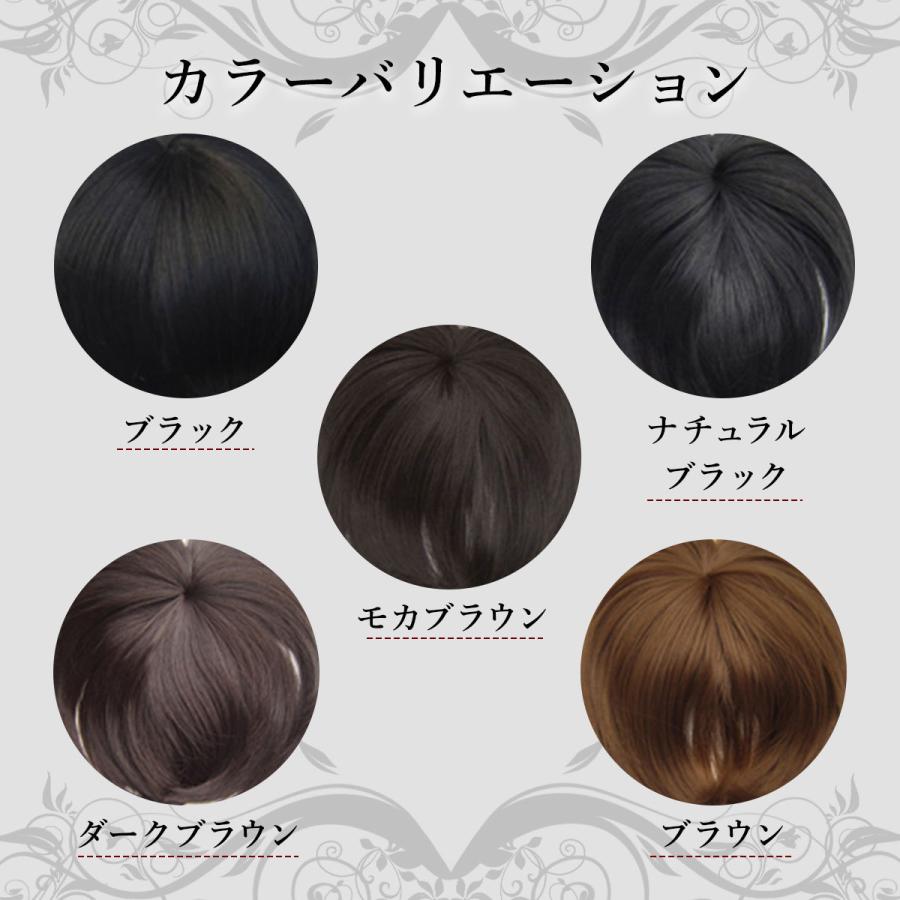 ウィッグ 前髪ウィッグ 部分ウィッグ ポイントウィッグ 自然