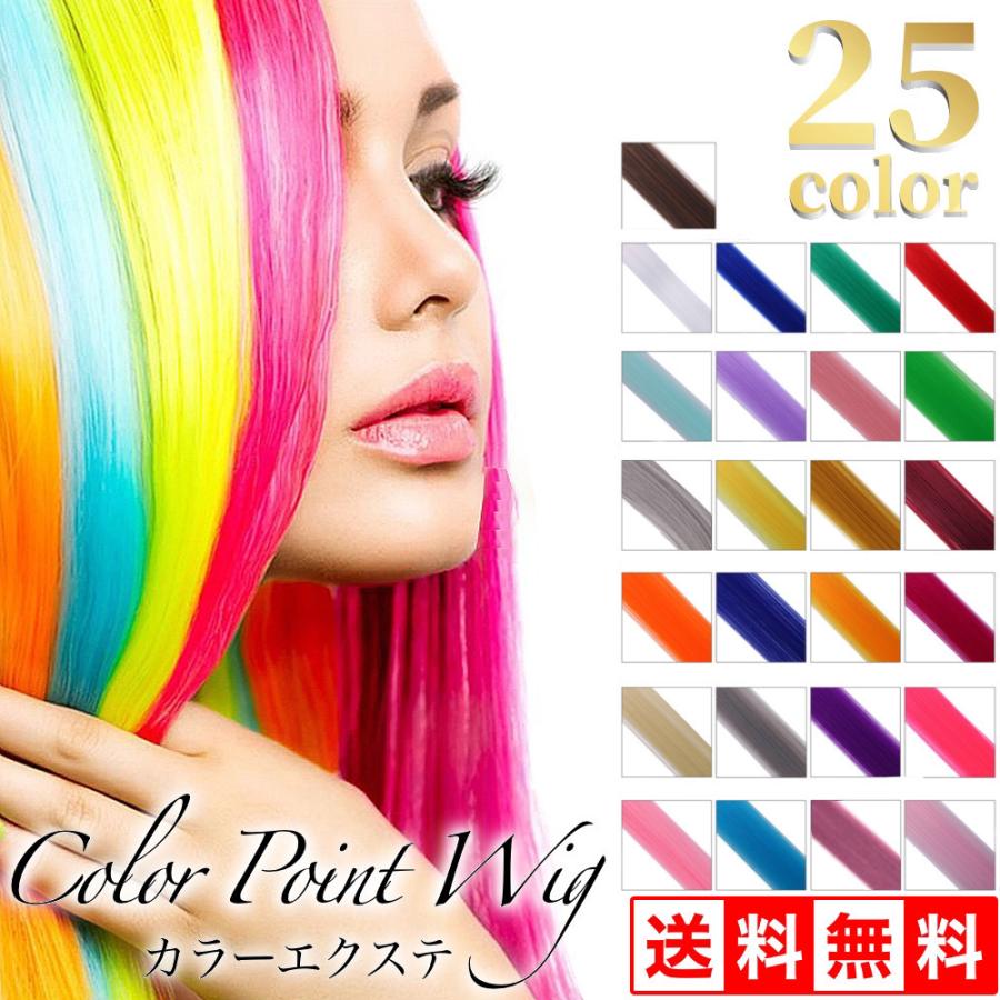 ウィッグ カラーエクステ エクステ ポイントウィッグ つけ毛