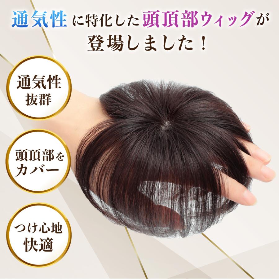 ヘアピース 頭頂部ウィッグ  自然 白毛 薄毛