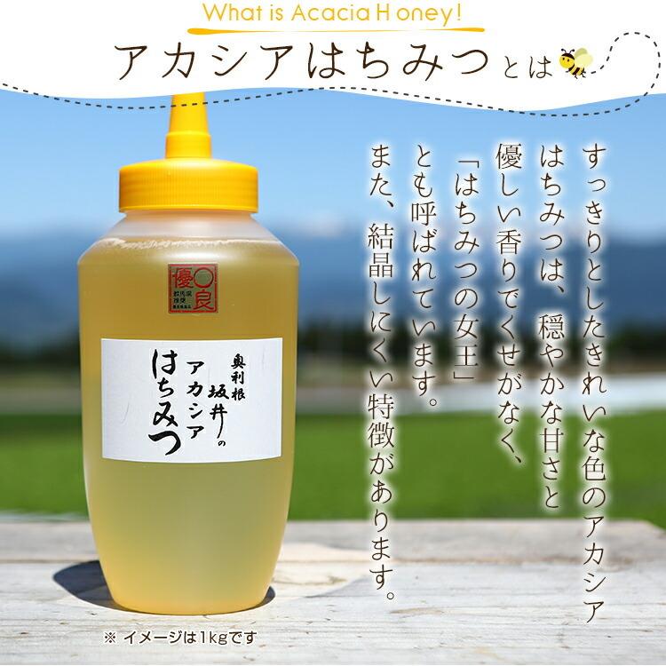 はちみつ 国産 1kg アカシア 500g×2本セット 特選アカシア蜂蜜 500g×2本セット 合計 1kg 坂井養蜂場 アカシア スイーツ 低糖質 低GI値 坂井養蜂場 :z16848:エランドショップ - 通販 - Yahoo!ショッピング はちみつ 国産 1kg アカシア 500g×2本セット 特選アカシア蜂蜜 500g×2本セット 合計 1kg 坂井養蜂場 アカシア スイーツ 低糖質 低GI値 坂井養蜂場 :z16848:エランドショップ - 通販 - Yahoo!ショッピング