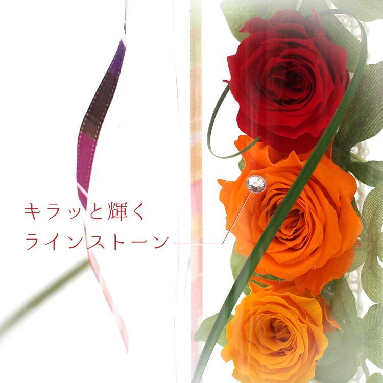 プリザーブドフラワー レインボースマイル パステル レインボー Gs 花 ギフト 筒形 バラ 薔薇 造花 かわいい 可愛い プレゼント レインボー今期完売19 Z エランドショップ 通販 Yahoo ショッピング