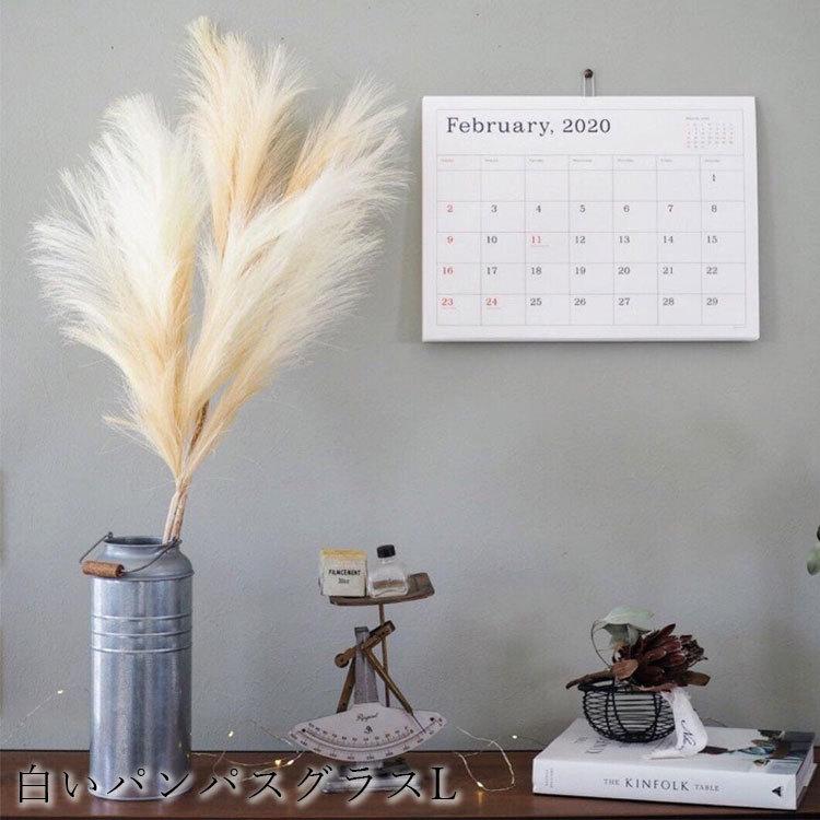 フェイクグリーン ふわふわパンパスグラスl おしゃれ Sサイズ コーラル ホワイト 造花 いなざうるす屋 インテリア 観葉植物 デコレーション 模様替え 癒し Z エランドショップ 通販 Yahoo ショッピング