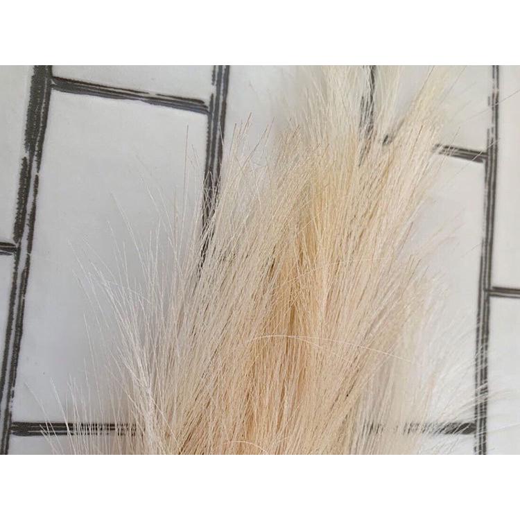 フェイクグリーン ふわふわパンパスグラスl おしゃれ Sサイズ コーラル ホワイト 造花 いなざうるす屋 インテリア 観葉植物 デコレーション 模様替え 癒し Z エランドショップ 通販 Yahoo ショッピング