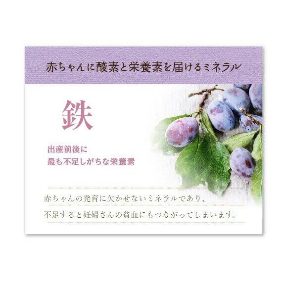 春の新作 妊婦 マタニティ食品 妊娠中のママとおなかの赤ちゃんのはぐくみスープ ３食入り 栄養補給 贈り物 つわり 健康食品 妊娠祝い 鉄分 葉酸 カルシウム Aynaelda Com