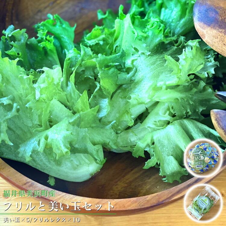 野菜 詰め合わせ レタス フリルと美い玉セット メーカー直送品 屋内栽培 Led野菜 新鮮 美い玉 レタス フリルレタス Noumann Z 生活雑貨 通販 ランデルストア 通販 Yahoo ショッピング