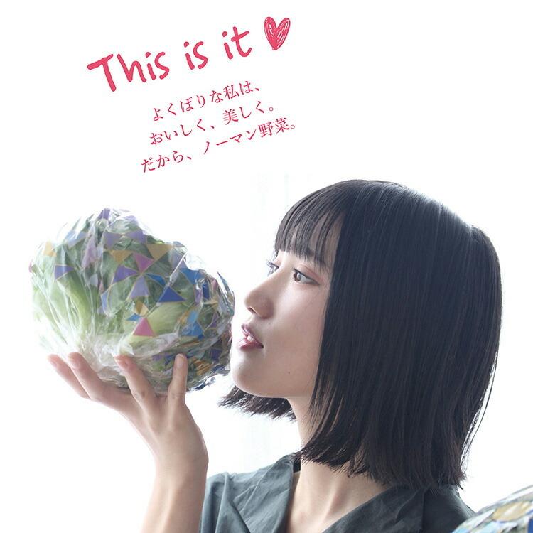 野菜 詰め合わせ レタス フリルと美い玉セット メーカー直送品 屋内栽培 Led野菜 新鮮 美い玉 レタス フリルレタス Noumann Z 生活雑貨 通販 ランデルストア 通販 Yahoo ショッピング