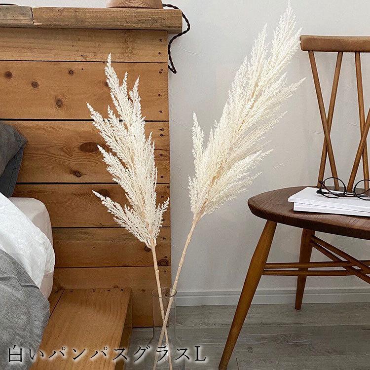 フェイクグリーン 白いパンパスグラス L Lサイズ いなざうるす屋 造花 ホワイト ふわふわ インテリア 観葉植物 デコレーション 模様替え 癒し プレゼント Z 生活雑貨 通販 ランデルストア 通販 Yahoo ショッピング
