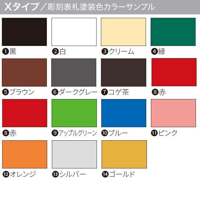 サイン ステンレス 戸建 丸三タカギ イエロゴ プラスエイジ PEG-1 選べる塗装 選べる書体 【日本】