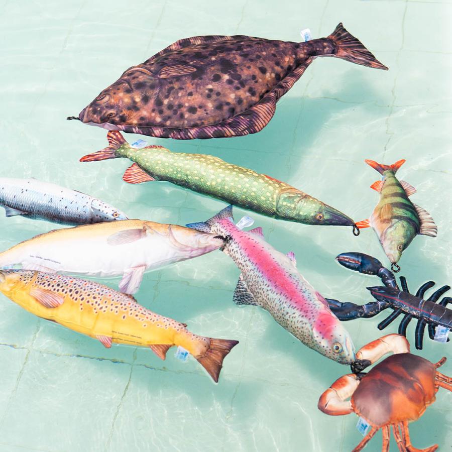 DULTON ダルトン フィッシーズ レインボー トラウト 70 FISHES DULTON ダルトン フィッシーズ レインボー トラウト 70 FISHES