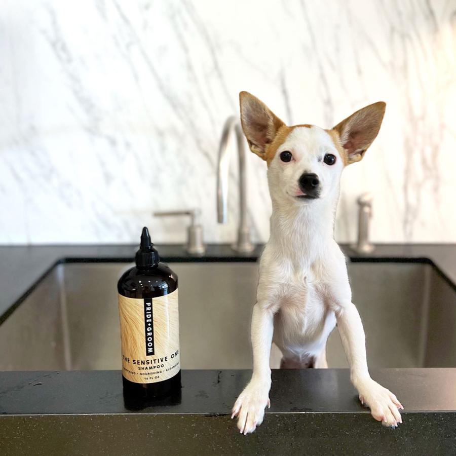 犬用 シャンプー デリケート 敏感肌向け ペット グルーミング 天然成分