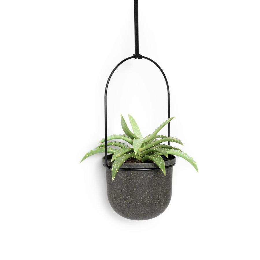 Umbra（アンブラ） ガーデニング ハンギングプランター 吊り鉢 植物