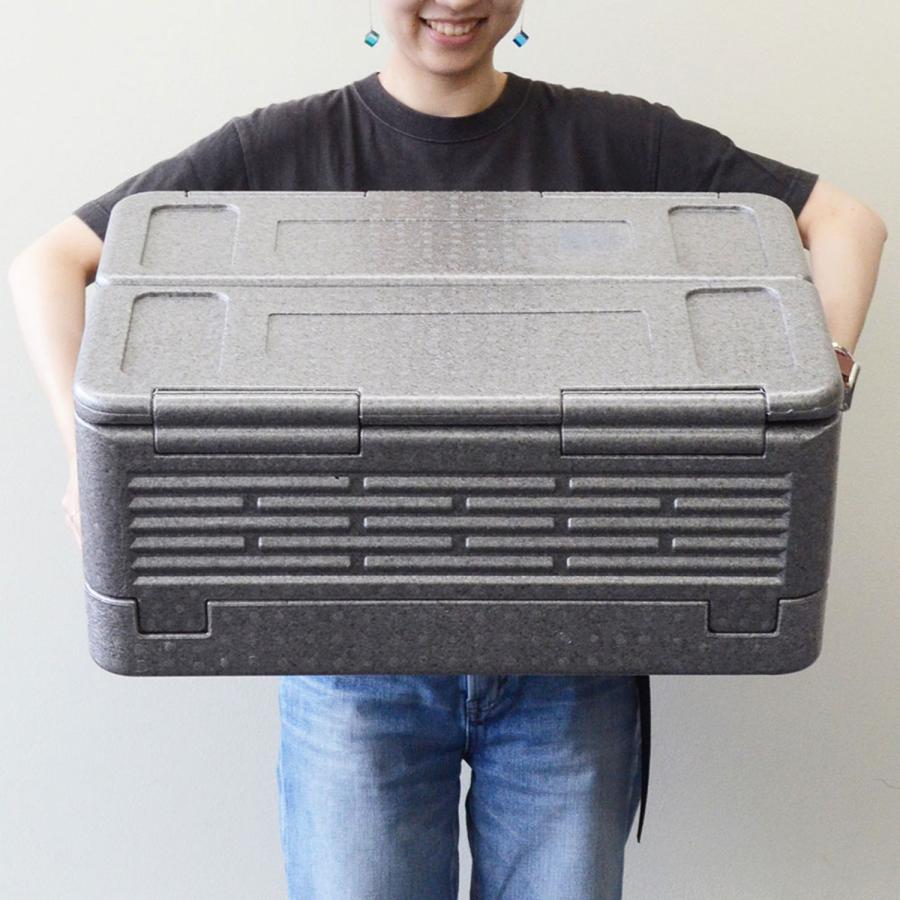 bcl 585 フォーダブル クーラーボックス 折りたたみ 買い物 bcl 585 フォーダブル クーラーボックス 折りたたみ 買い物