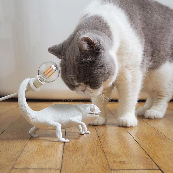 SELETTI（セレッティ） 照明 カメレオンランプ STILL Seletti 照明器具