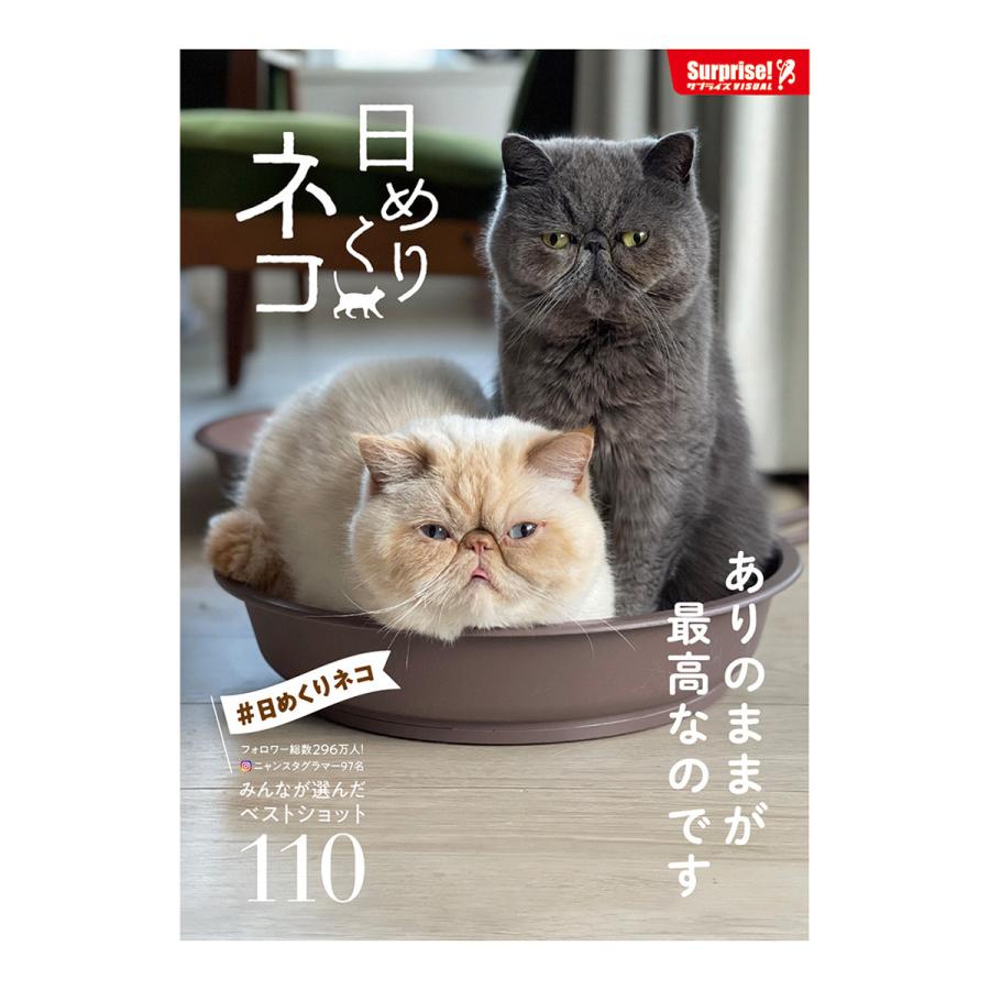 Surprisebook サプライズbook 日めくりネコ 22 日めくりカレンダー 癒やし猫 Entre Square ヤフー店 通販 Yahoo ショッピング