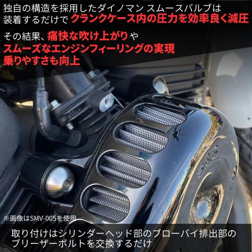 DYNOMAN(ダイノマン) SmoothValves(スムースバルブ) 純正エア