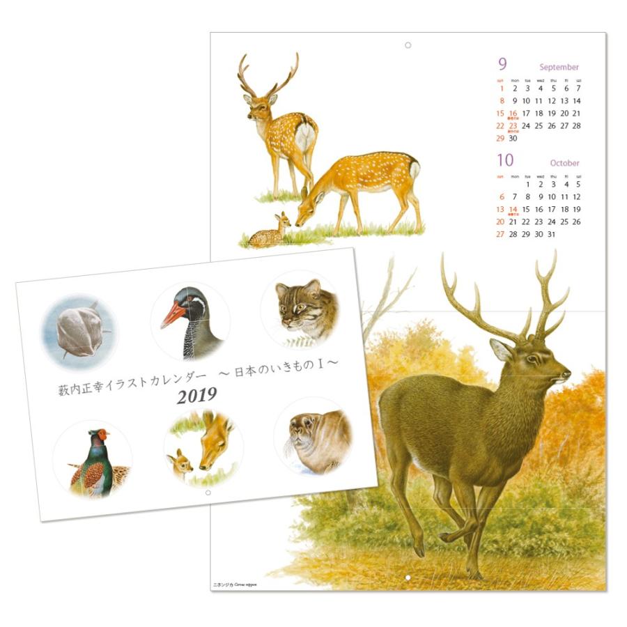 19カレンダー 日本のいきものi 薮内正幸イラストグッズ Caly19 いきもの細密画アートグッズ 通販 Yahoo ショッピング