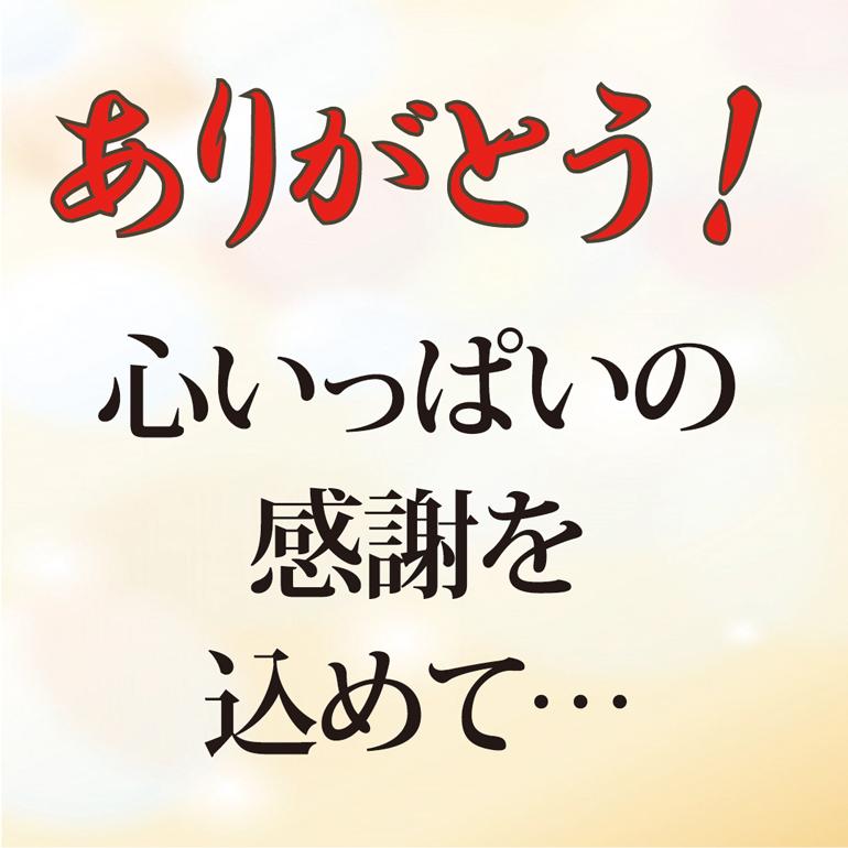 ショーツ 天レースショーツ (LLサイズ) 赤パン 日本製 綿100％ 婦人用