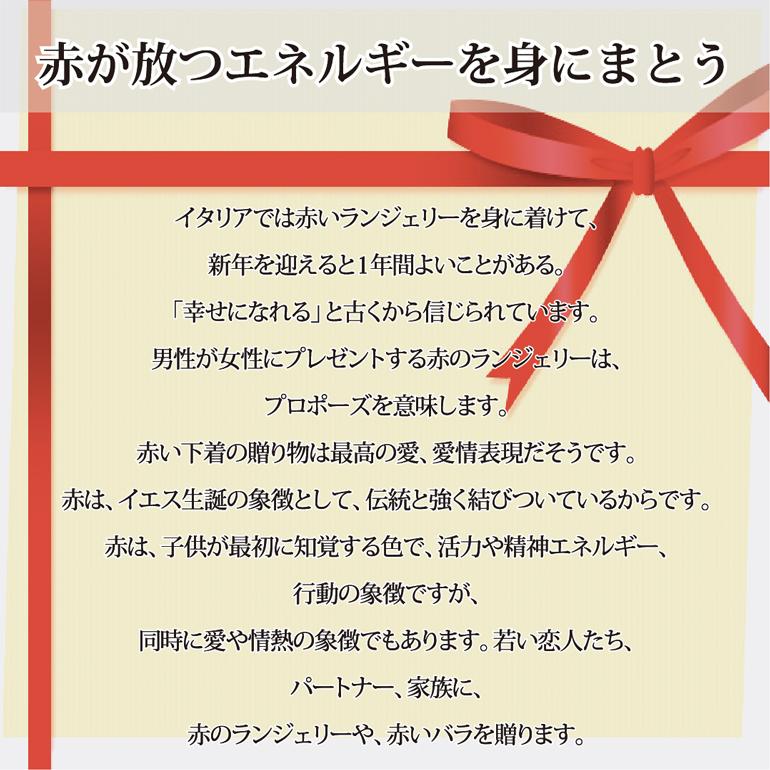 ショーツ 天レースショーツ (LLサイズ) 赤パン 日本製 綿100％ 婦人用