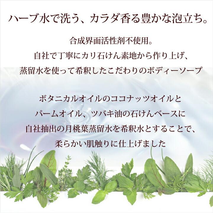 泡ボディソープ 詰替 ボタニカノン シトラスハーブ 500ml サスティナブルコスメ 蒸留水 自然由来成分 オーガニック ボタニカル 保湿 SDGs｜enya2525｜03