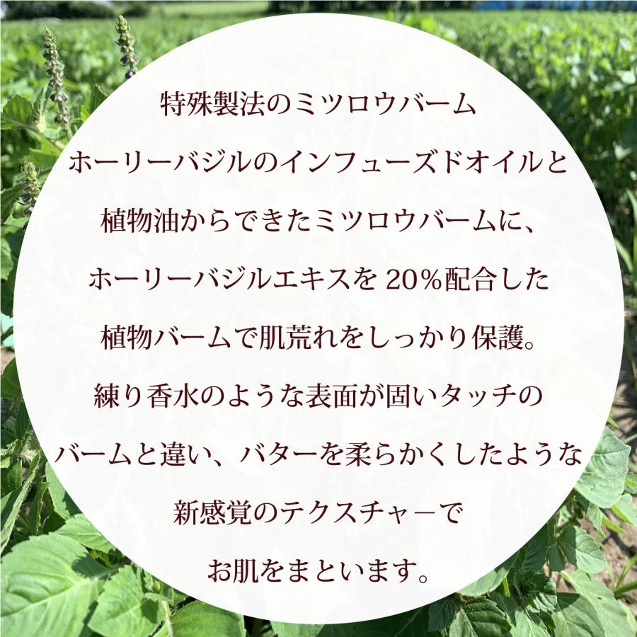 保湿 バーム ヴァーム ボタニカノン ホーリーバジルインフューズド