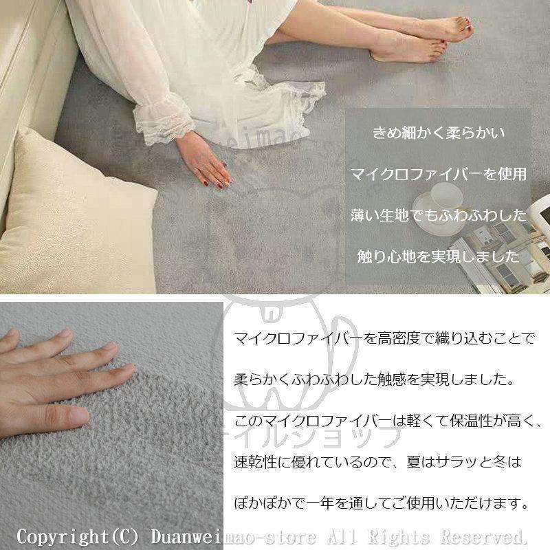 ラグ カーペット オールシーズン 200×300 絨毯 ラグマット 洗える 約3.6畳 ホットカーペット 長方形 滑り止め付き 夏用 冬用 大判 床暖房 冷房対応 おしゃれ
