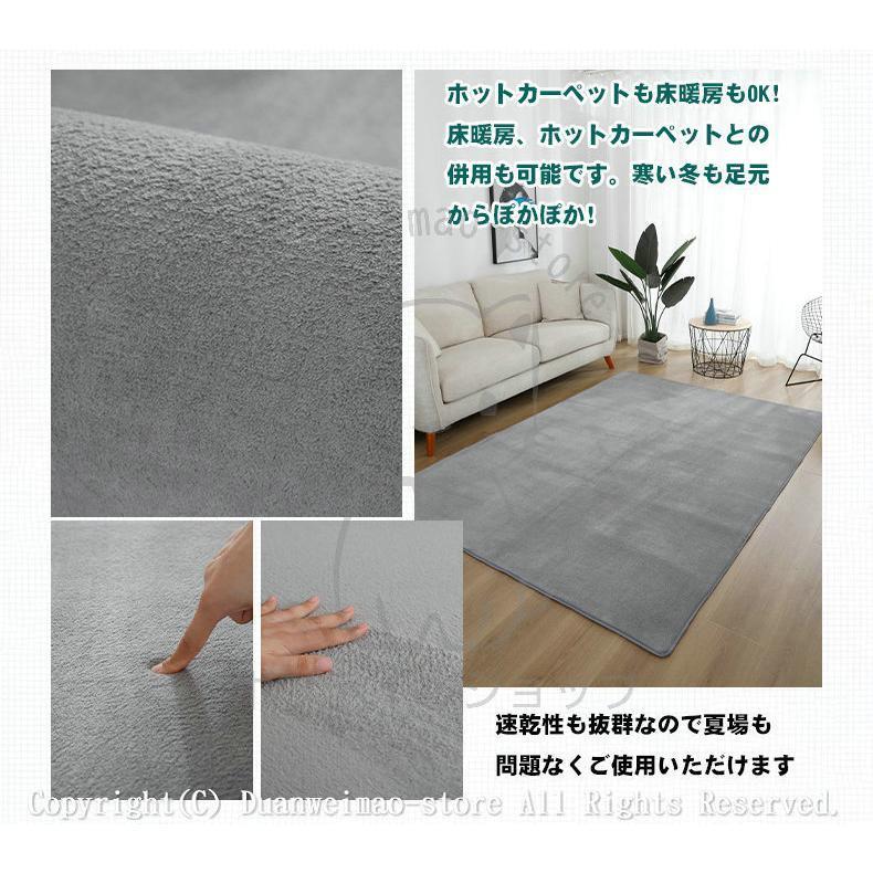 ラグ カーペット オールシーズン 200×300 絨毯 ラグマット 洗える 約3.6畳 ホットカーペット 長方形 滑り止め付き 夏用 冬用 大判 床暖房 冷房対応 おしゃれ