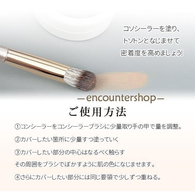 HAKUJUDO メイクブラシセット シルバー ケース付3本　H6183 シルバーフォックス チークブラシ