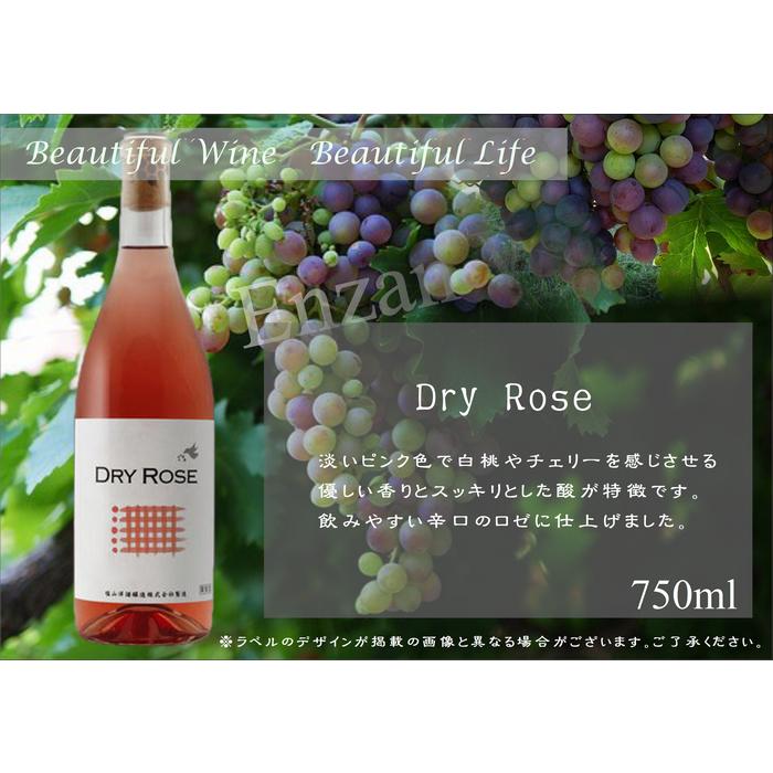 DRY ROSE 2024 | 