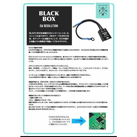 BLACK BOX ブラックボックス ノイズフィルター付きアースケーブル