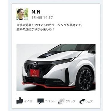 正規国内ニッサン純正】 日産コレクション ナンバープレートマスク