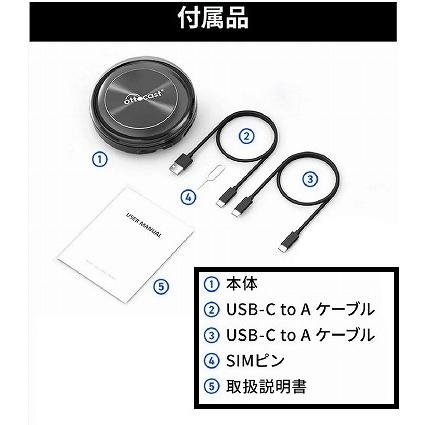 国内正規代理店品】 OTTOCAST オットキャスト PICASOU2 : enzo-machina