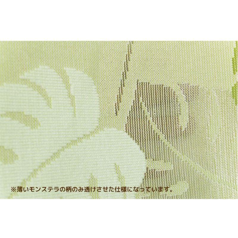 上等な Arie アーリエ 国産のれん 防炎ミラーモンステラ 85×170cm グリーン megjc.gov.jm 上等な Arie アーリエ 国産のれん 防炎ミラーモンステラ 85×170cm グリーン megjc.gov.jm