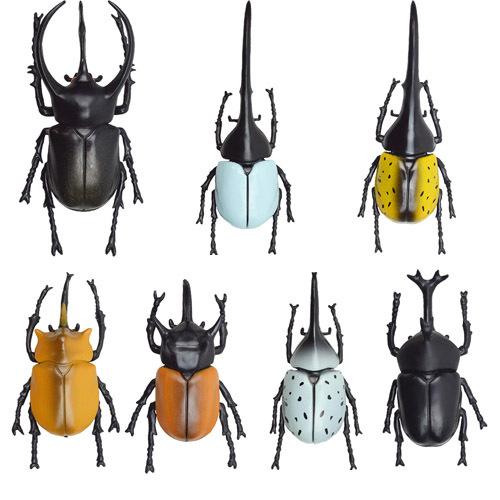 カブトムシ おもちゃ 立体甲虫図鑑 世界のカブトムシ : e カブトムシ おもちゃ 立体甲虫図鑑 世界のカブトムシ : e